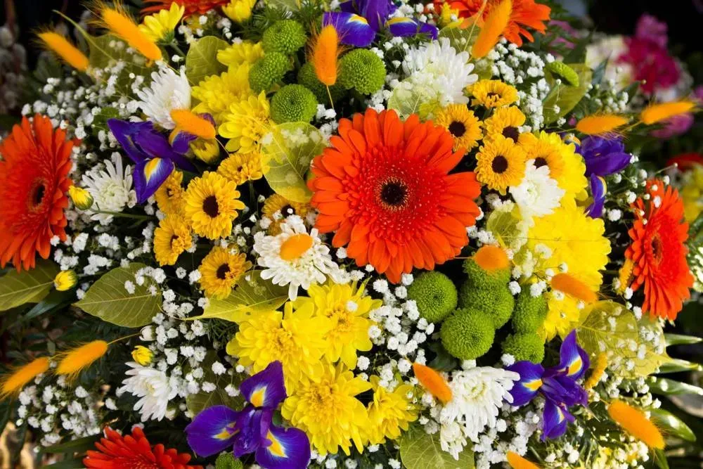 Fleuriste